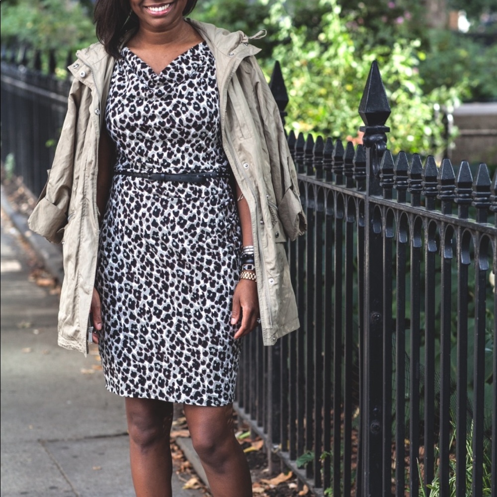Ann Taylor Animal Print Dress